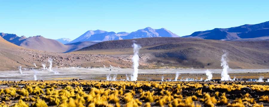 4 TOUR IN ATACAMA IN 3 DAYS - Cejar Lagoon and the bright salt flats