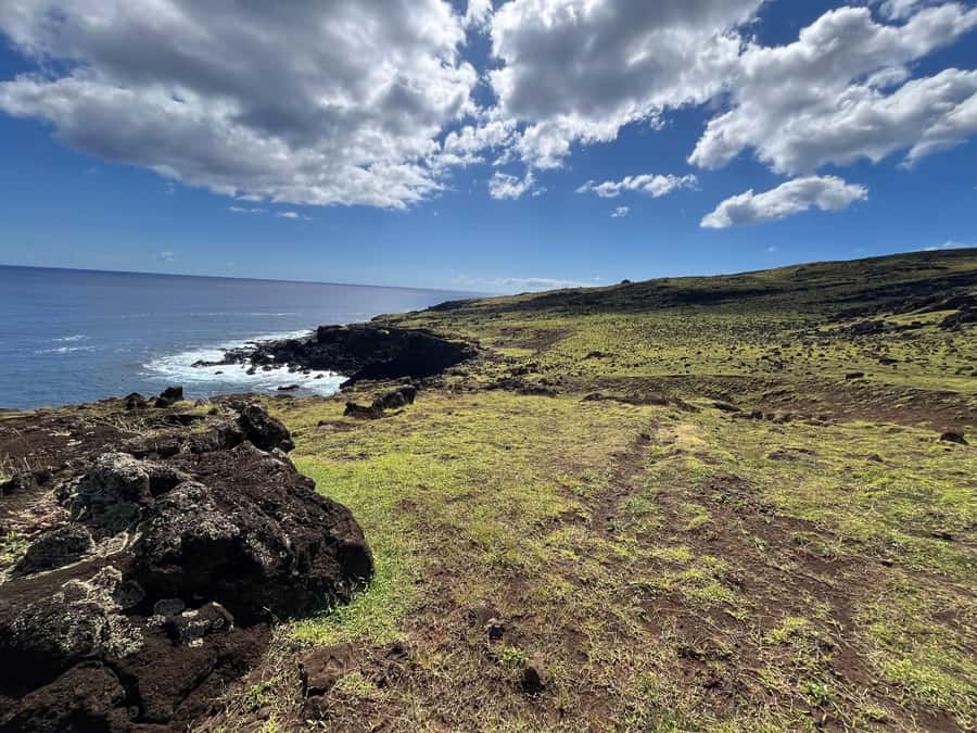 Adventures in Rapa Nui: High-quality tourism with Easter Island Your Tour. - Anakena, a different side of the island