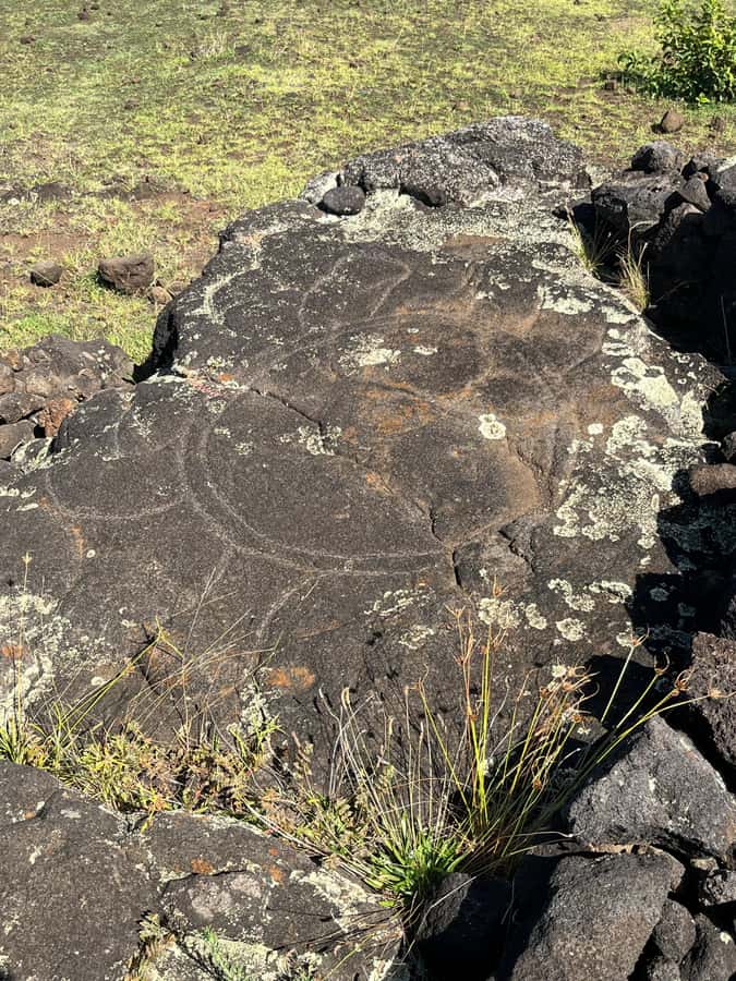 Adventures in Rapa Nui: High-quality tourism with Easter Island Your Tour. - What the $200 price is buying