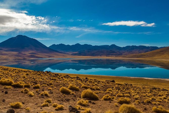 Altiplanic Lagoons & Piedras Rojas Tour from San Pedro de Atacama - Key points at a glance