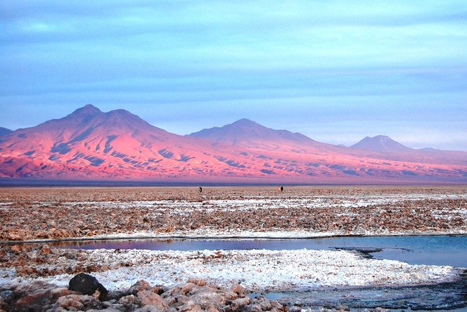 Altiplanic Lagoons & Piedras Rojas Tour from San Pedro de Atacama - Why this Atacama day trip covers so much