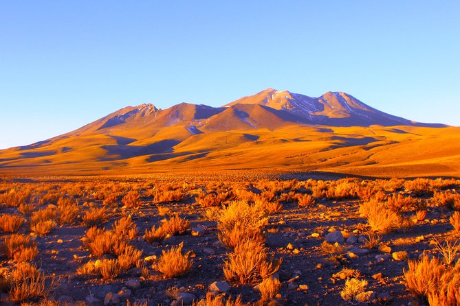 Altiplanic Lagoons & Piedras Rojas Tour from San Pedro de Atacama - What to pack for the high plateau