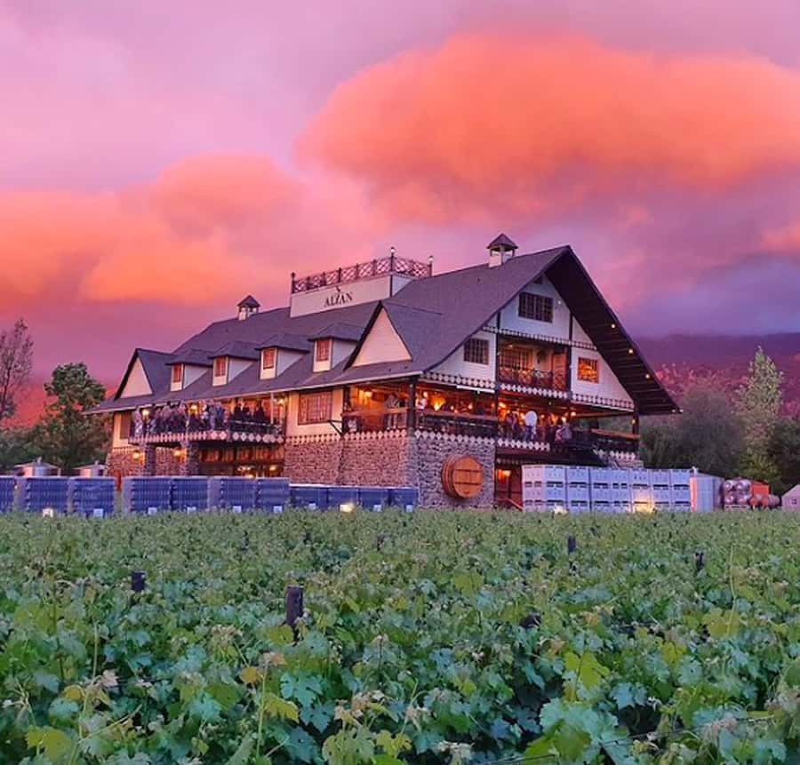 Alyan Family sunset winery - Key points at a glance