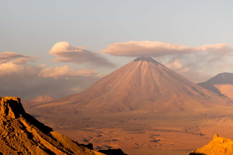 Andean Saltflats full-day with breakfast and lunch - Queipiaco wetland and the wildlife question