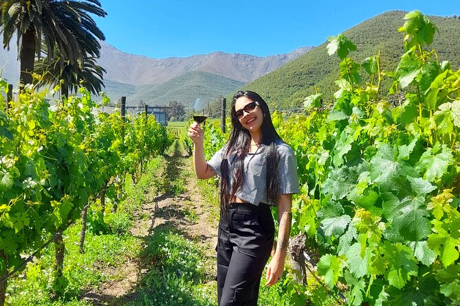 Andes Portillo & Aconcagua wine tour semi private - Laguna del Inca and the Portillo hotel