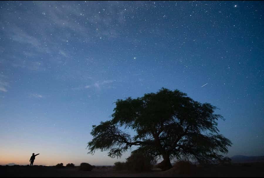 Antofagasta: Astronomical Tour with a Guide - Timing, group size, and what to bring