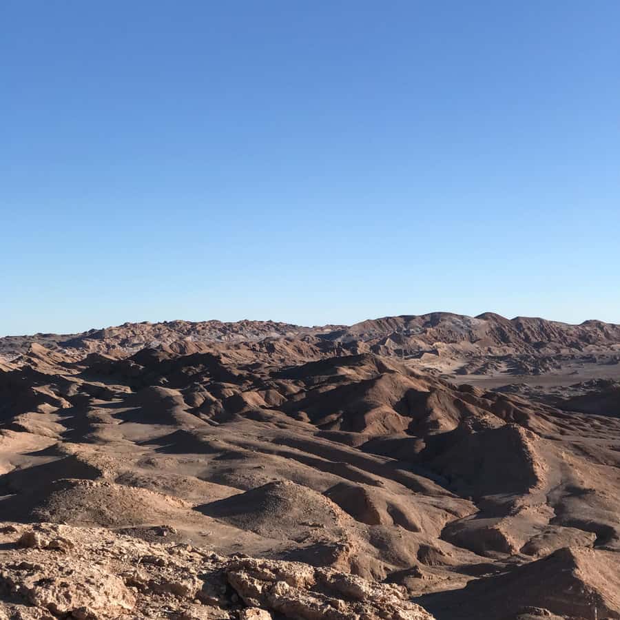 Atacama Desert and Magic Bus Visit - Sunset with Pisco, wine, juices, and snacks