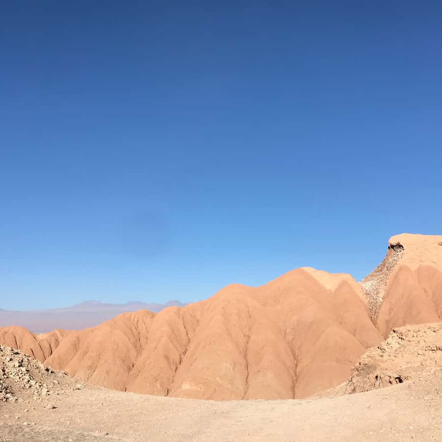 Atacama Desert and Magic Bus Visit - Guides, language, and the human side of the outing