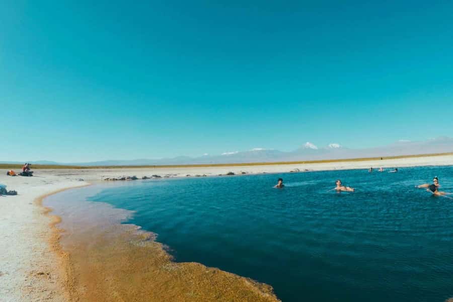 Atacama Desert: Floatation in Laguna Cejar and Sunset - Why Laguna Cejar is the main event