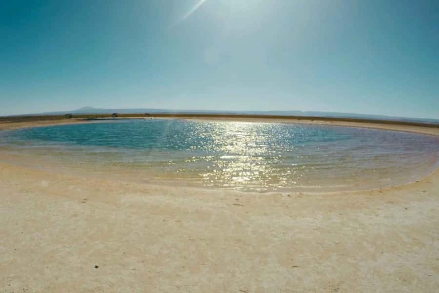 Atacama Desert: Floatation in Laguna Cejar and Sunset - Should you book this Laguna Cejar tour?