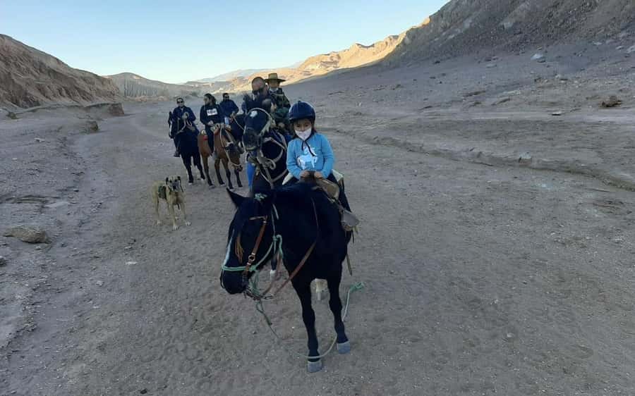Atacama Desert: Horseback Adventure with Scenic Views - Who should book this desert ride?
