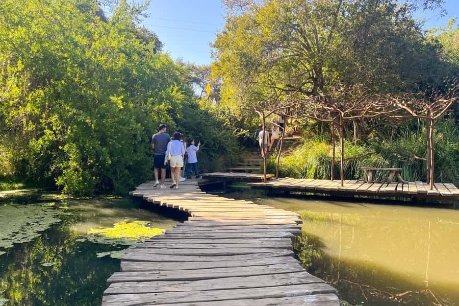 Aviary & Tricao Park Tour with Undurraga Wine Tasting - Key points to know before booking