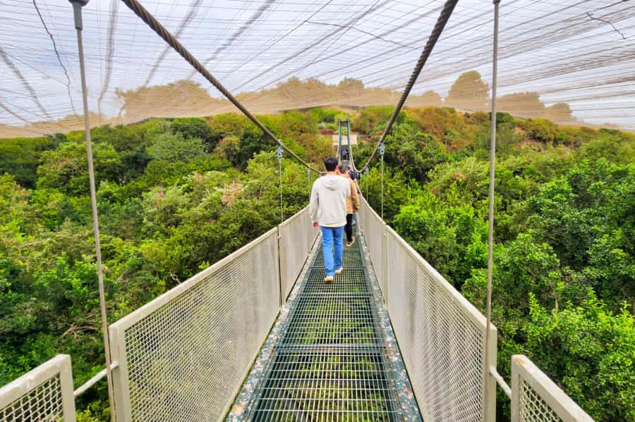 Aviary & Tricao Park Tour with Undurraga Wine Tasting - The long road from Santiago to Parque Tricao