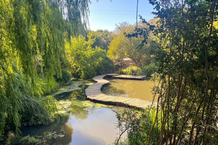 Aviary & Tricao Park Tour with Undurraga Wine Tasting - Humedal Giverny and a Monet-inspired pause