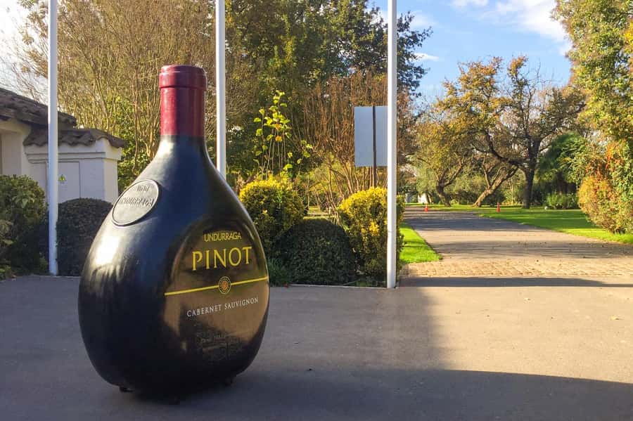 Aviary & Tricao Park Tour with Undurraga Wine Tasting - Viña Undurraga, founded in 1885