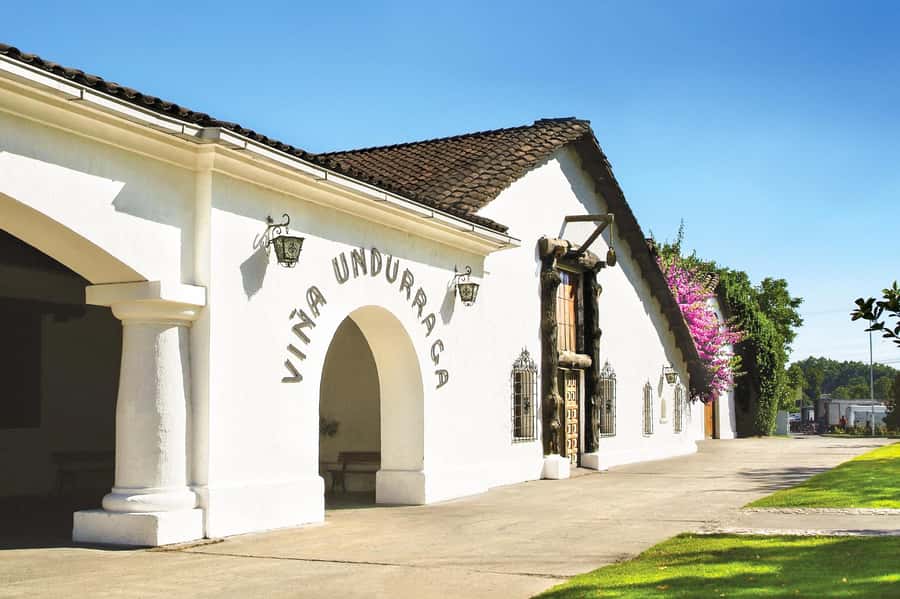 Aviary & Tricao Park Tour with Undurraga Wine Tasting - What the four-wine tasting adds