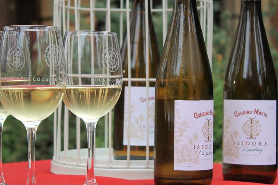 Bahá'i Temple and Cousiño Macul Vineyard - The return ride and what the schedule means