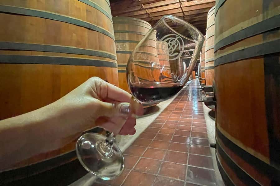 Bahá'i Temple and Cousiño Macul Vineyard - Guides can make the difference