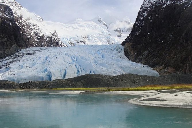 Balmaceda and Serrano Glaciers Sightseeing Cruise from Puerto Natales - Wildlife along the rocky shore