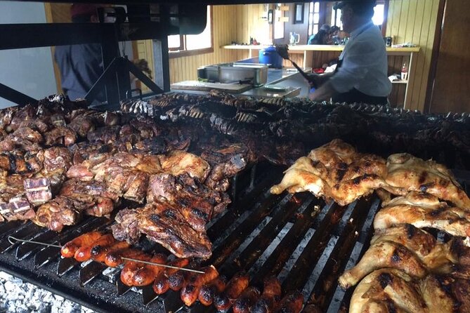 Balmaceda & Serrano Glaciers Boat Tour and traditional lunch. - Ultima Esperanza Fjord, wildlife, and waterfalls