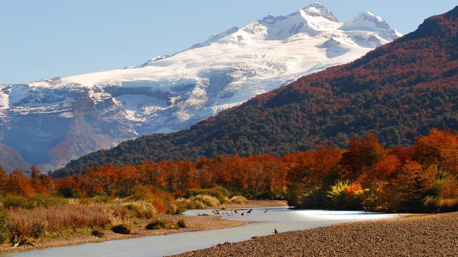 Bariloche: Cerro Tronador Tour - From Bariloche to Lake Mascardi