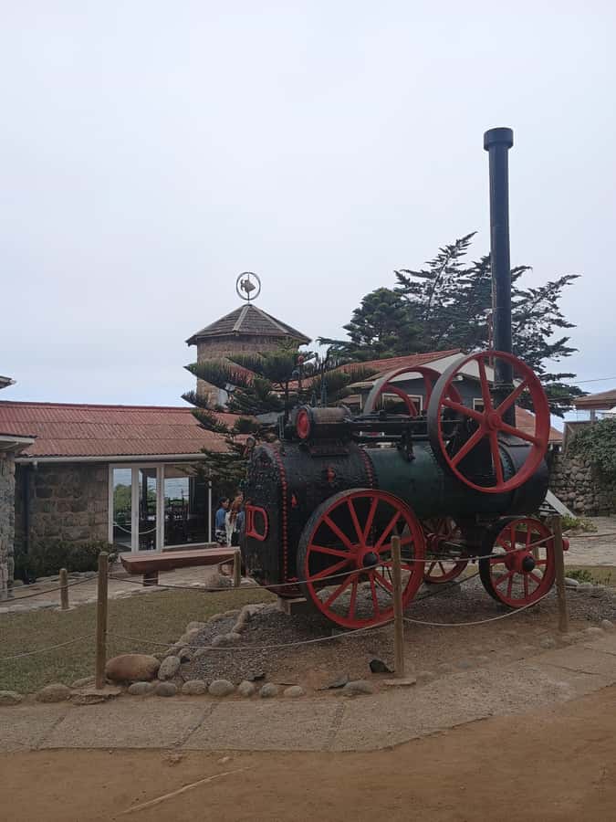 BLACK ISLAND AND CHILEAN WINE - A full day from Santiago to the Pacific coast