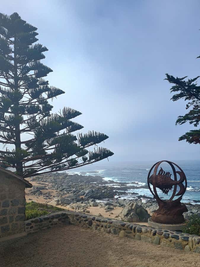 BLACK ISLAND AND CHILEAN WINE - How the $75 price works out