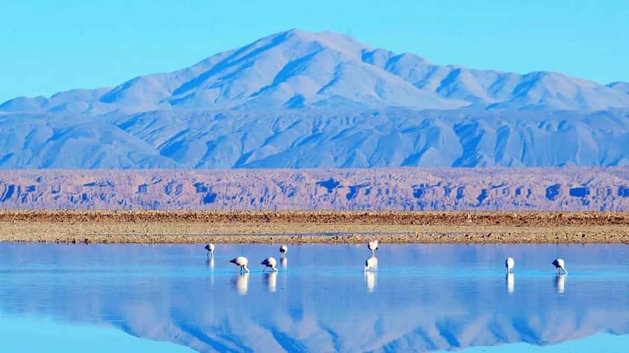 Caracoles: Red Stones of Atacama and Chaxa Guided Day Trip - Why the Red Stones make this day different