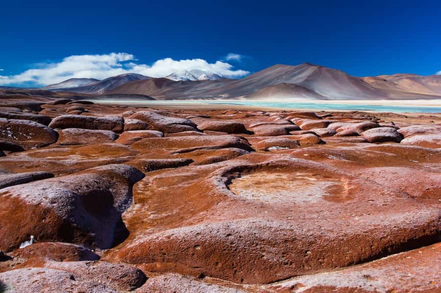Caracoles: Red Stones of Atacama and Chaxa Guided Day Trip - Chaxa Lagoon and the flamingo stop