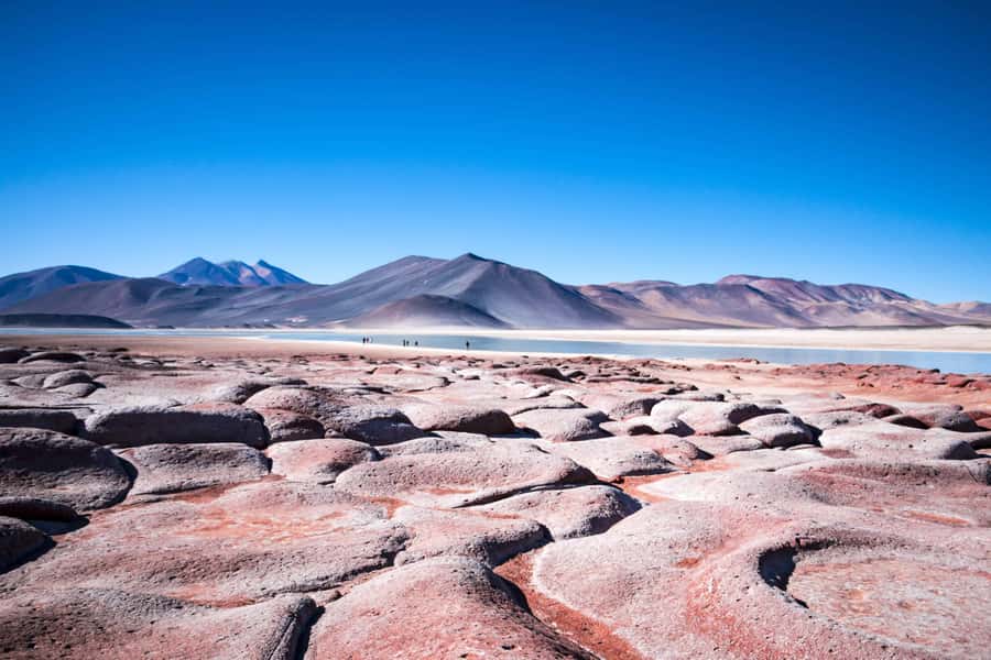 Caracoles: Red Stones of Atacama and Chaxa Guided Day Trip - Breakfast and lunch in a remote setting