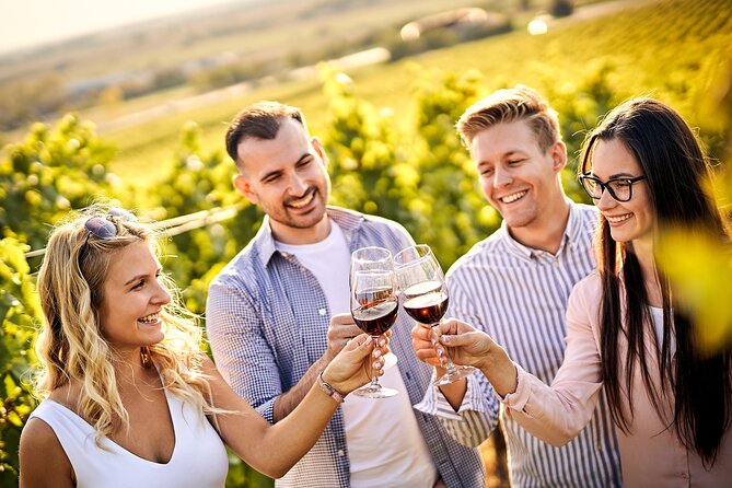 Casablanca world class wines, 4 vineyards & Tanino lunch stop - Key points to know before you book