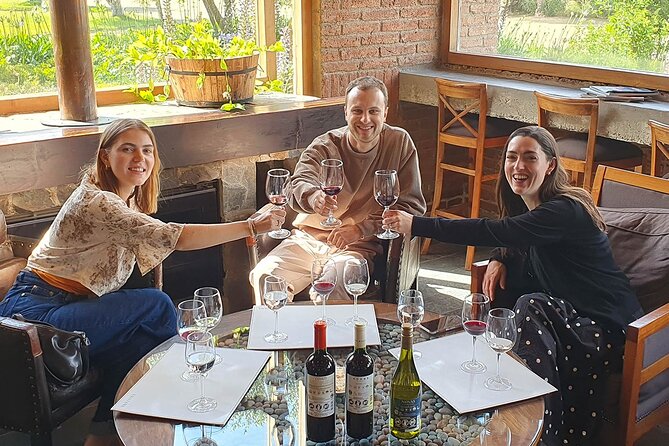 Casablanca world class wines, 4 vineyards & Tanino lunch stop - The pace, group size, and practical tradeoffs
