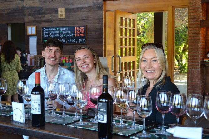 Casablanca world class wines, 4 vineyards & Tanino lunch stop - Viñamar: sparkling wine and a polished change of pace