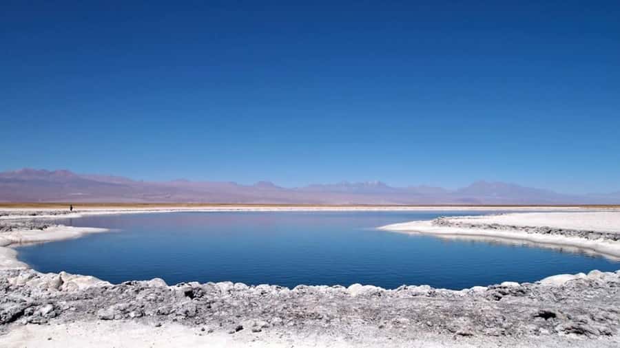 Cejar Lagoon, Tebenquiche Lagoon and Ojos del Salar - Key points before you book