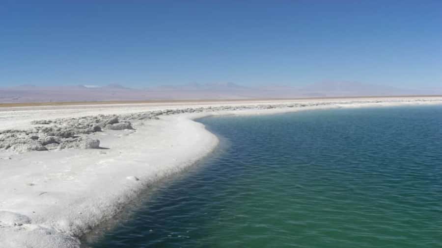 Cejar Lagoon, Tebenquiche Lagoon and Ojos del Salar - Why these three lagoons make a good half-day