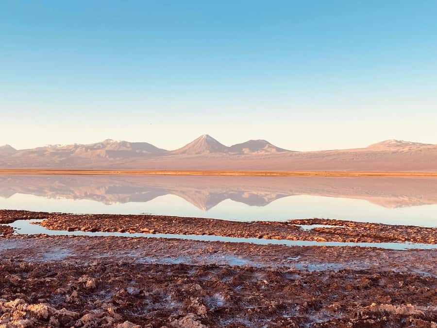 Cejar Lagoon Tour: San Pedro de Atacama - Key points to know before you book