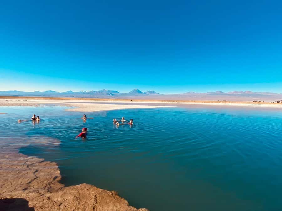Cejar Lagoon Tour: San Pedro de Atacama - The 30-minute float at Cejar Lagoon