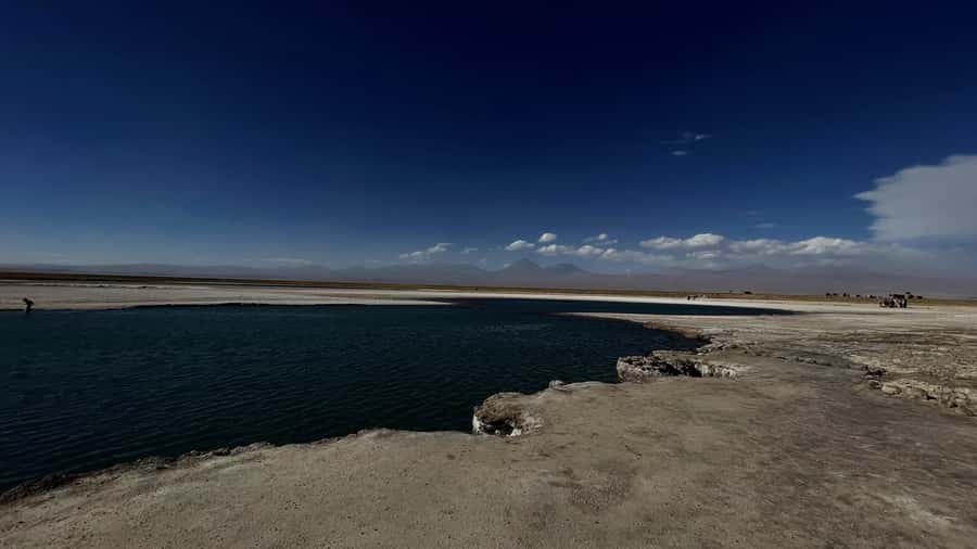 Cejar & Tebenquiche Lagoons Tour with Ojos del Salar Atacama - Seeing the Ojos del Salar
