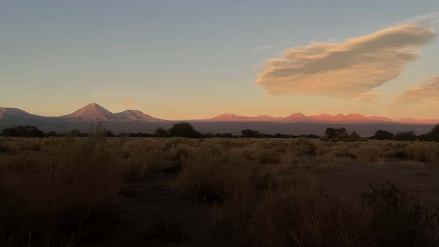 Cejar & Tebenquiche Lagoons Tour with Ojos del Salar Atacama - Who should book this lagoon trip?