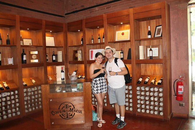 Cousiño Macul Vineyard - Maipo Valley - Premium Tasting - HD - Three Glasses, One Gift Glass, and a Wine Shop