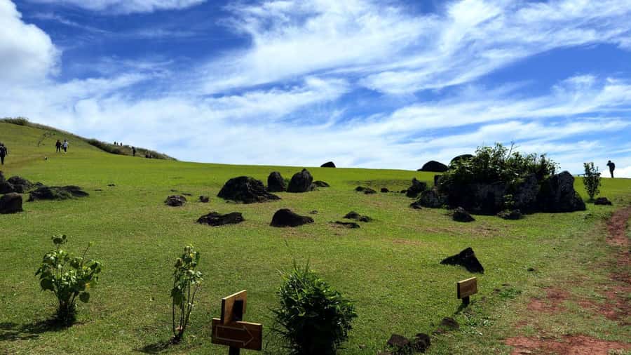 Easter Island: Half-Day Archaeology Tour - Should you book this Easter Island tour?