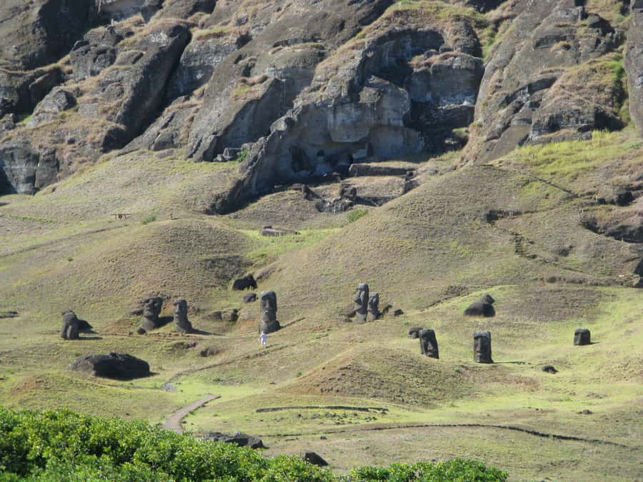 Easter Island: Moai Full Day Private Tour - One Makihi, a small stop with a different view