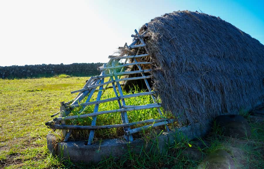 Easter Island: Private Full Day History Of The Moai - One Makihi, a short stop with a distinctive Moai