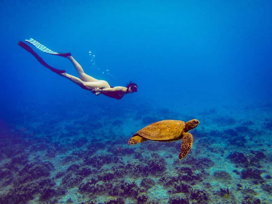 Easter island: Snorqueling tour on coral reefs - Getting fitted with shortie wetsuits and fins