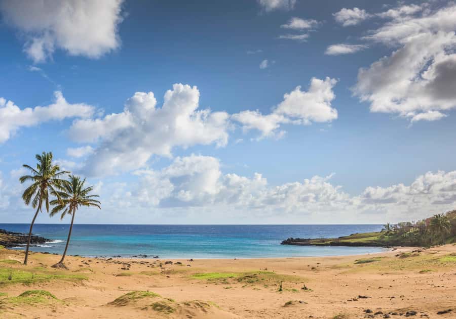 Easter Island: The Moai Trail Private Archeological Tour - Timing, weather, and walking