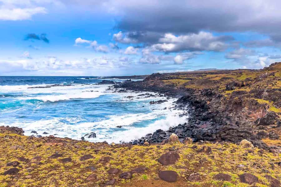 Easter Island: The Moai Trail Private Archeological Tour - Is this the right Easter Island tour for you?