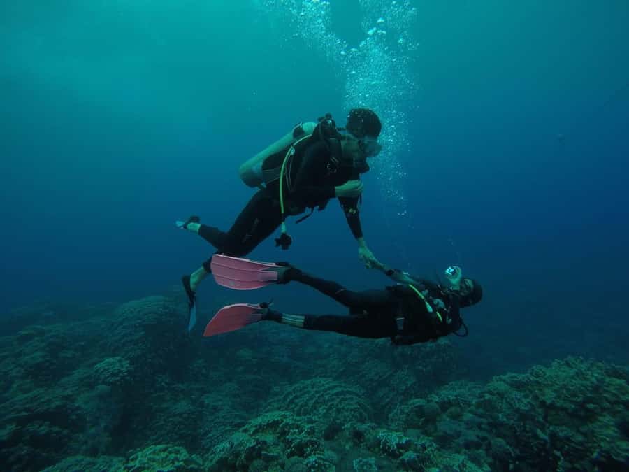 Easter Island: Tropical Diving - Key points before you book