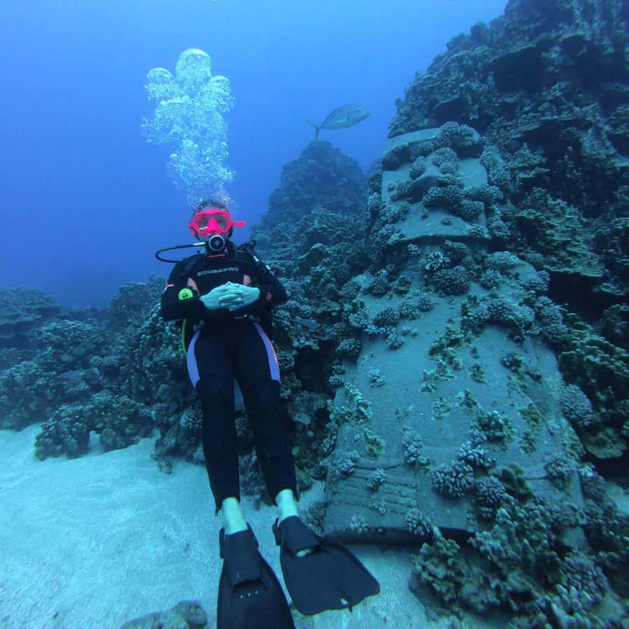 Easter Island: Tropical Diving - Rapa Nui beneath the Pacific