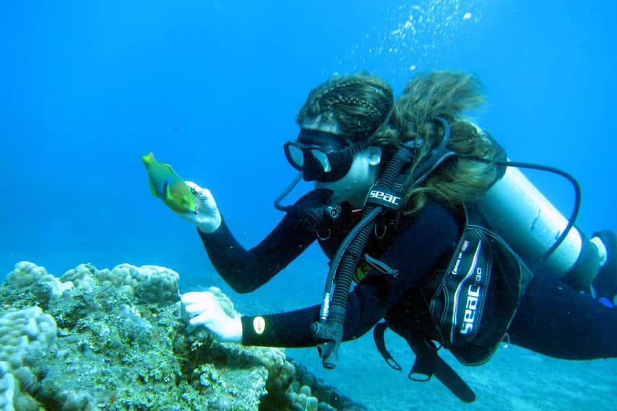 Easter Island: Tropical Diving - The transfer from the cove to the water site