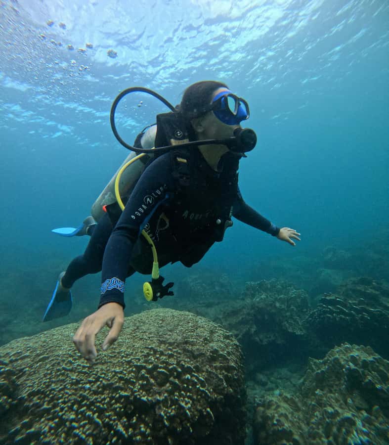 Easter Island: Tropical Diving - About one hour underwater